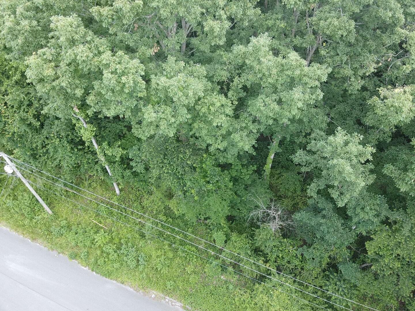 Bretton Dr, Lot 154, Soddy Daisy, Tennessee image 1