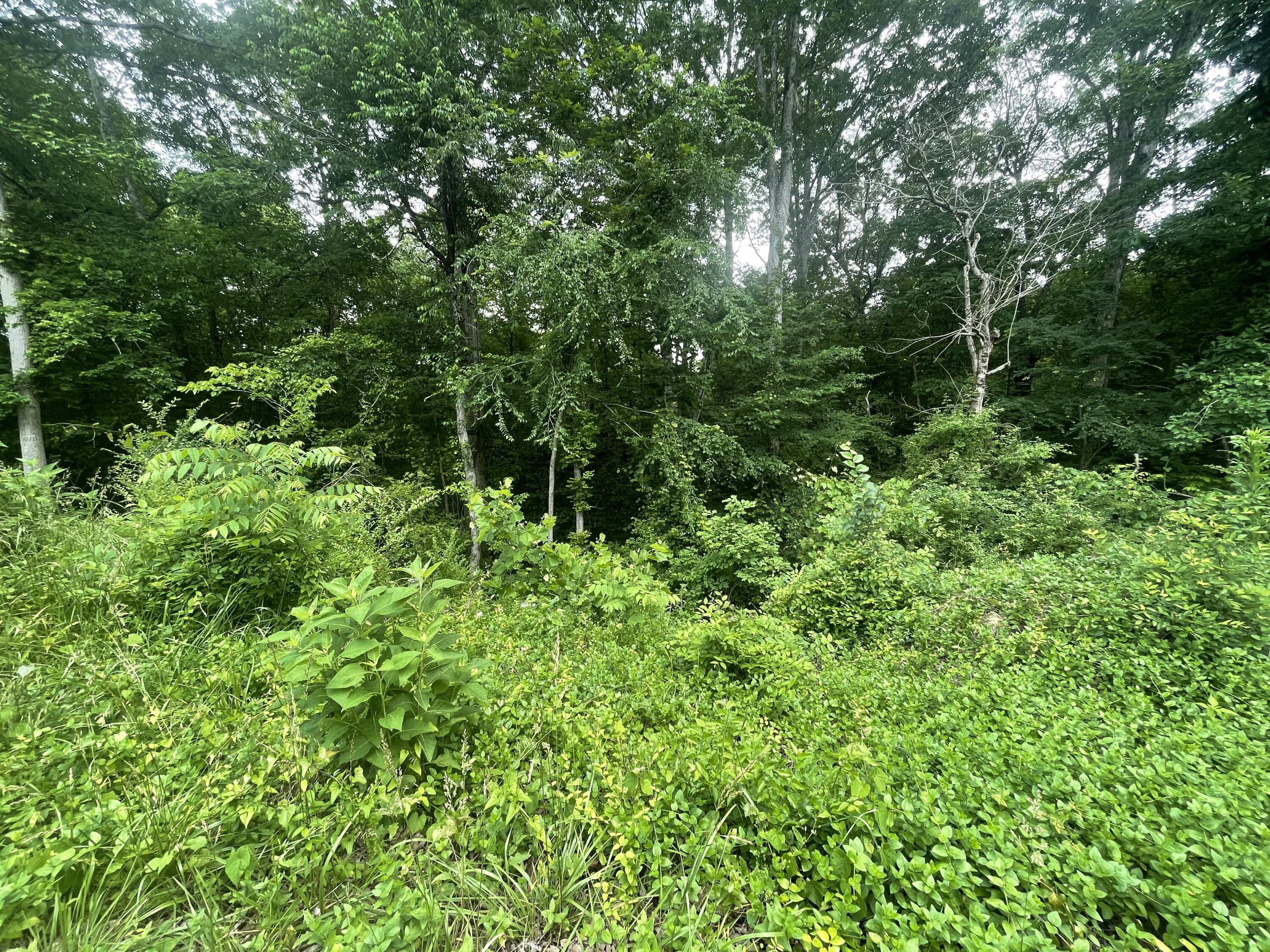 Bretton Dr, Lot 154, Soddy Daisy, Tennessee image 7
