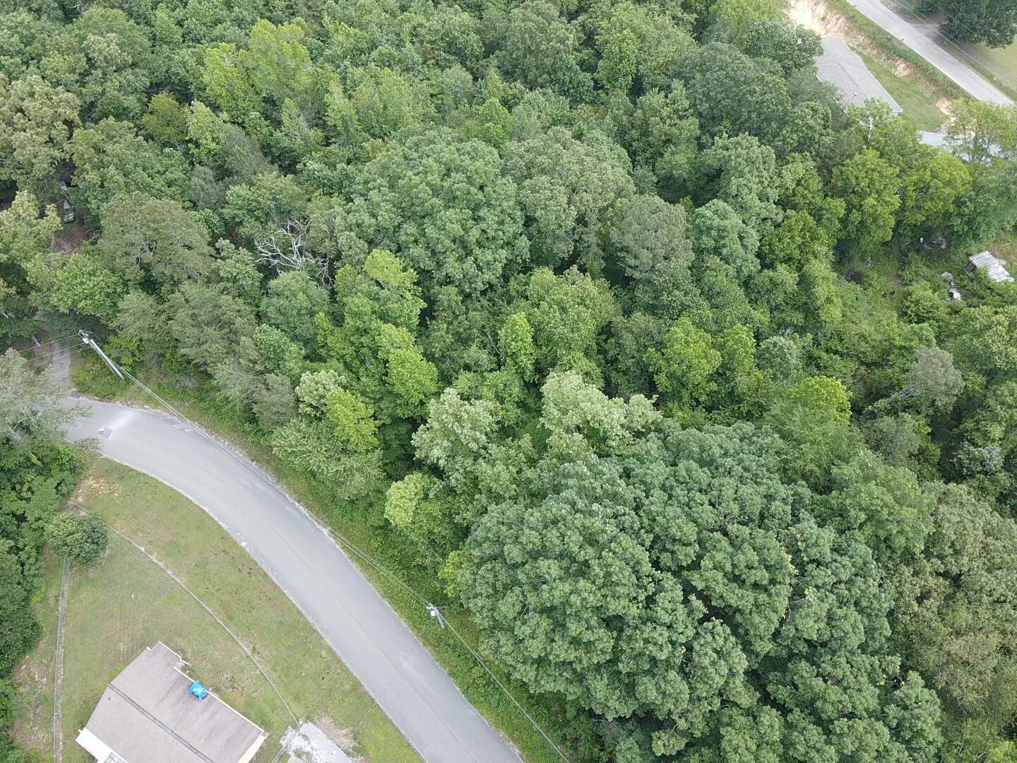 Bretton Dr, Lot 154, Soddy Daisy, Tennessee image 11