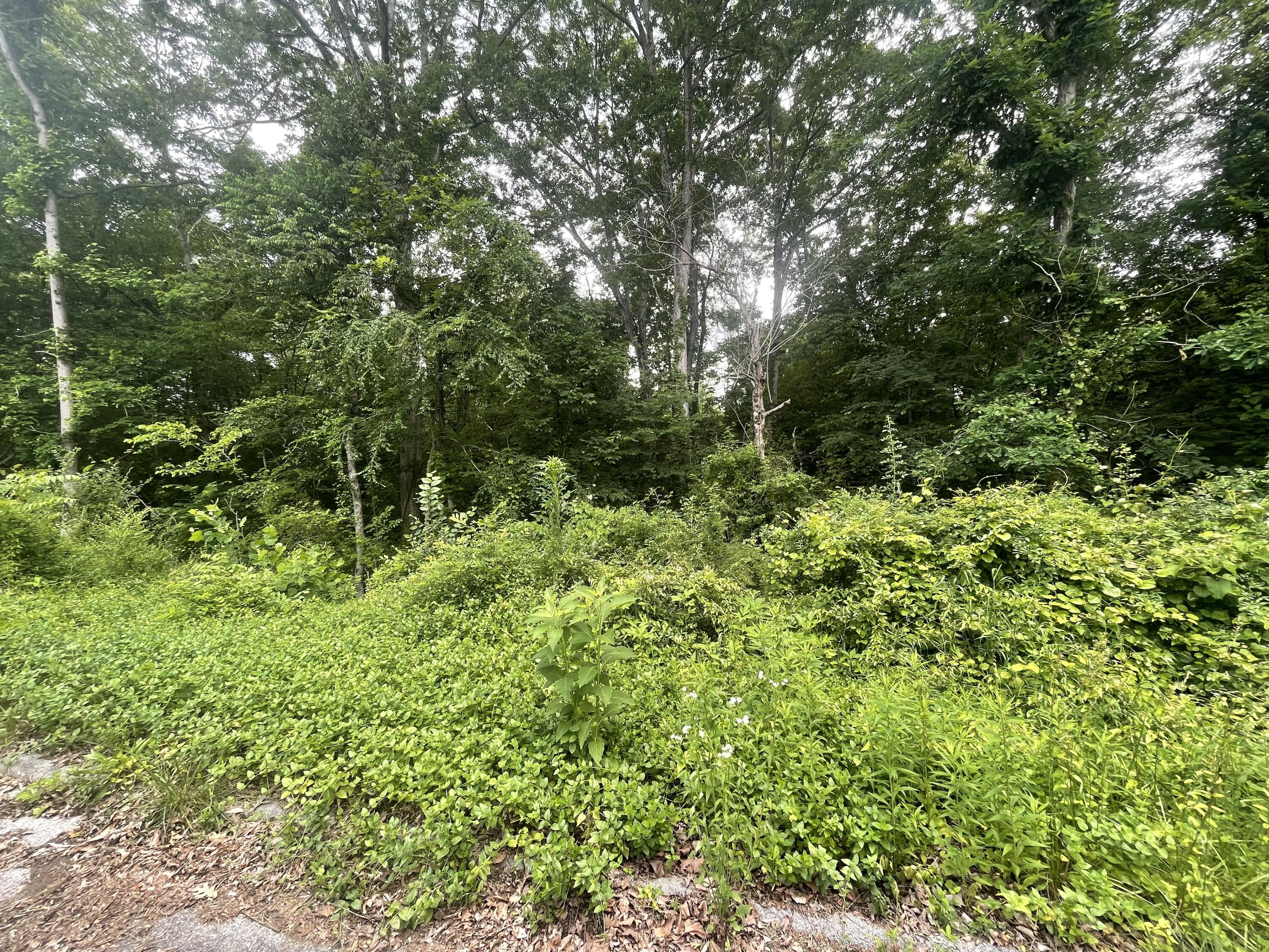 Bretton Dr, Lot 154, Soddy Daisy, Tennessee image 5