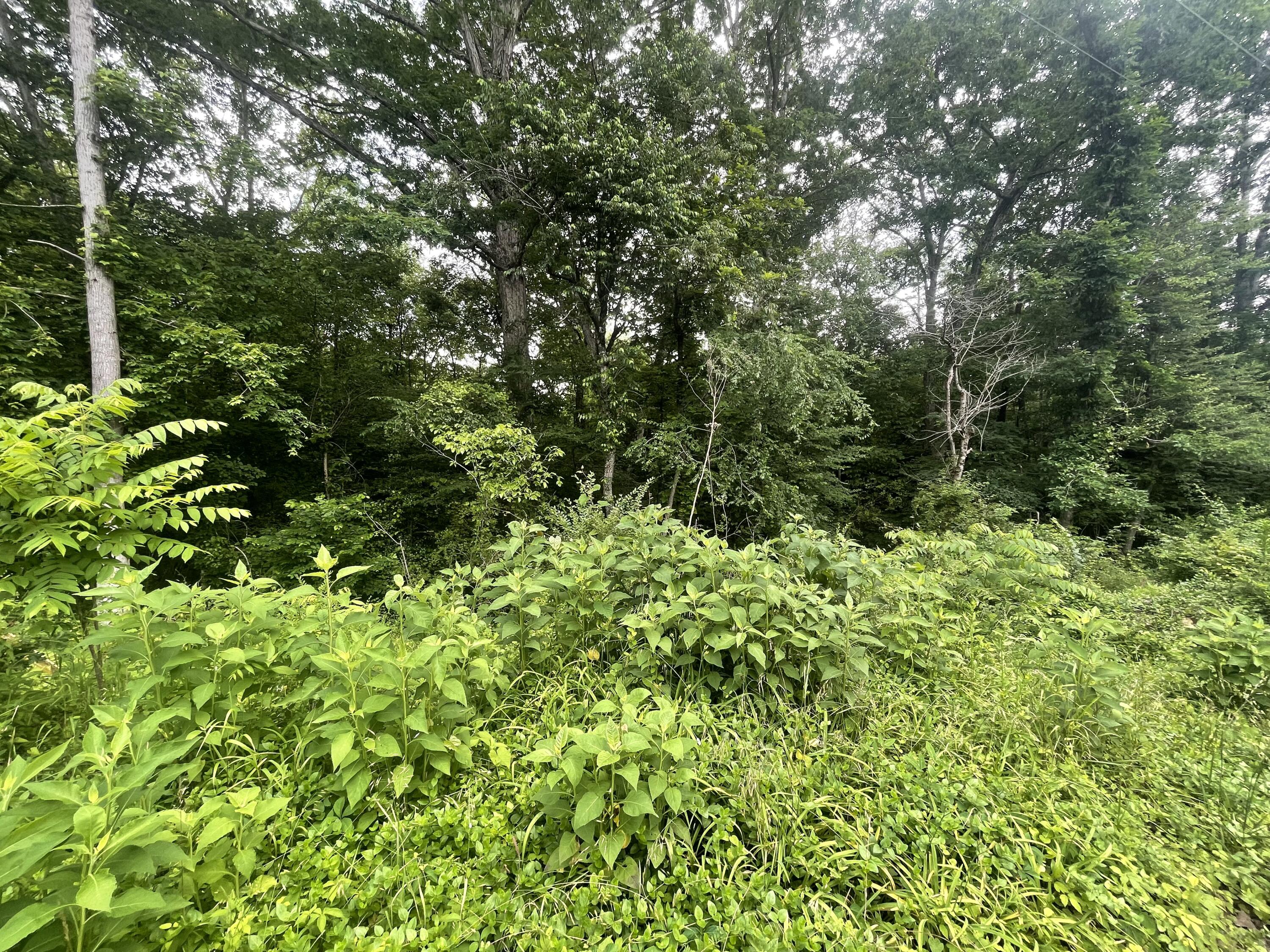 Bretton Dr, Lot 154, Soddy Daisy, Tennessee image 8