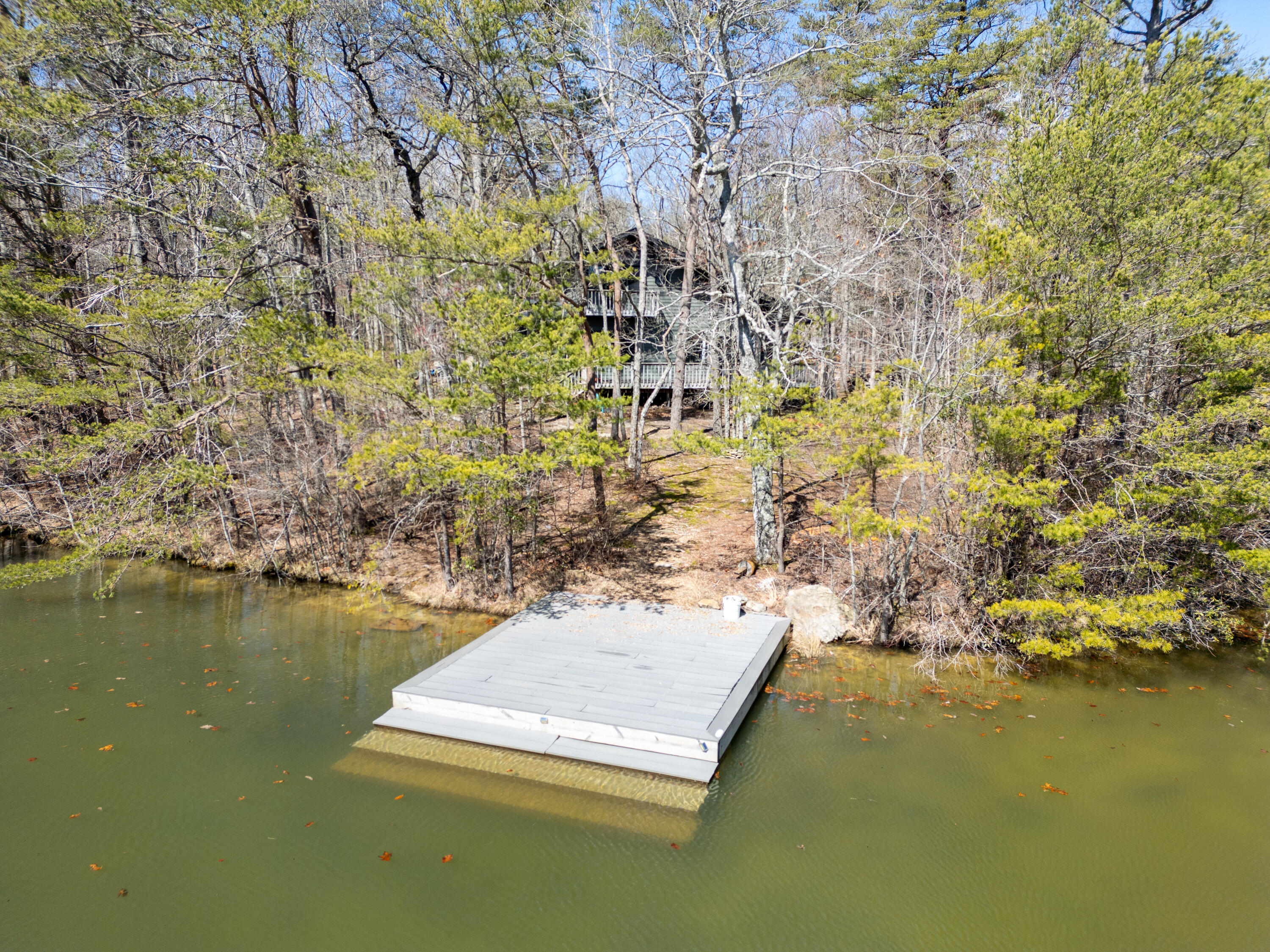 346 Mac Lake Drive, Rising Fawn, Georgia image 8