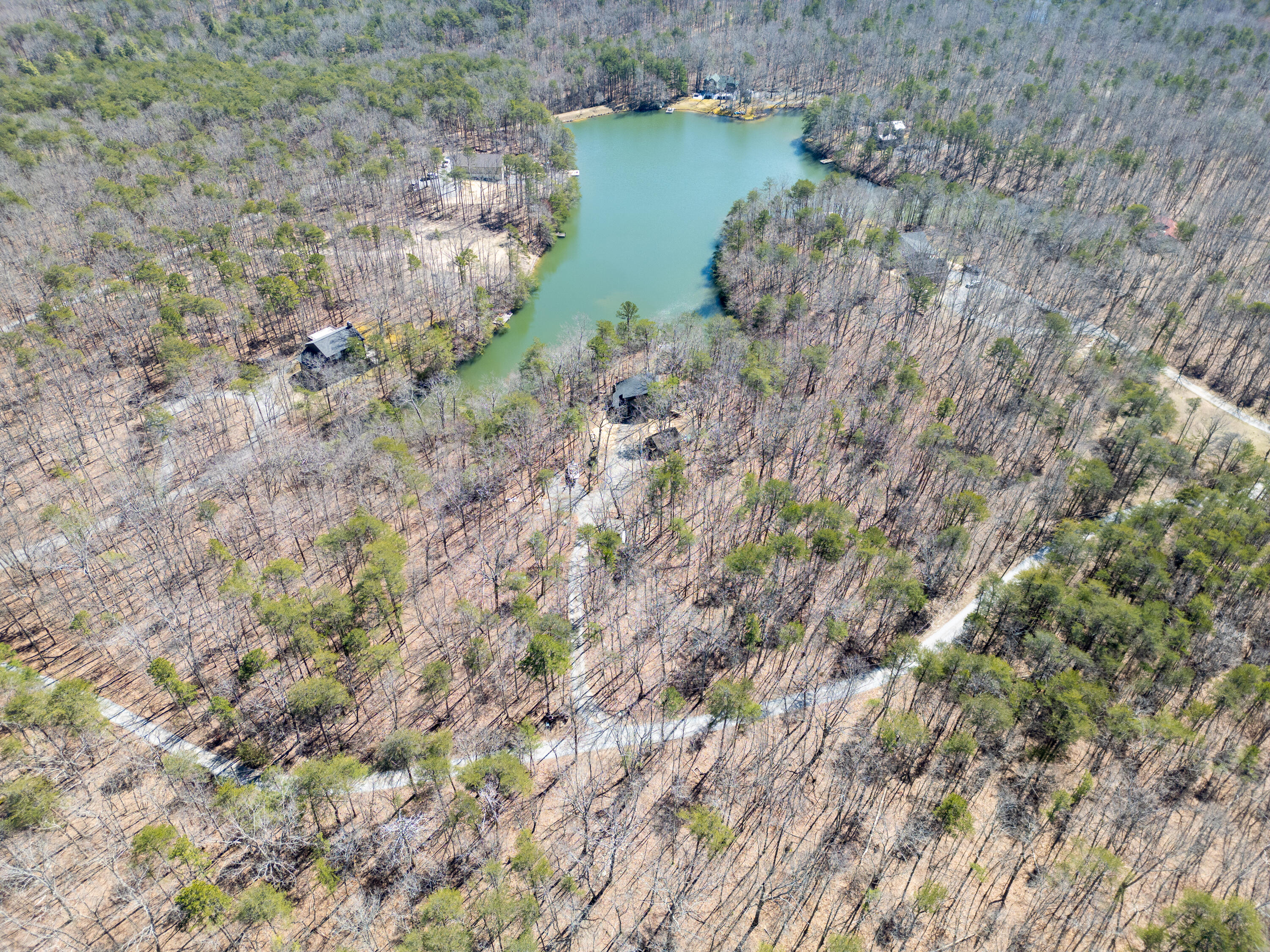 346 Mac Lake Drive, Rising Fawn, Georgia image 2