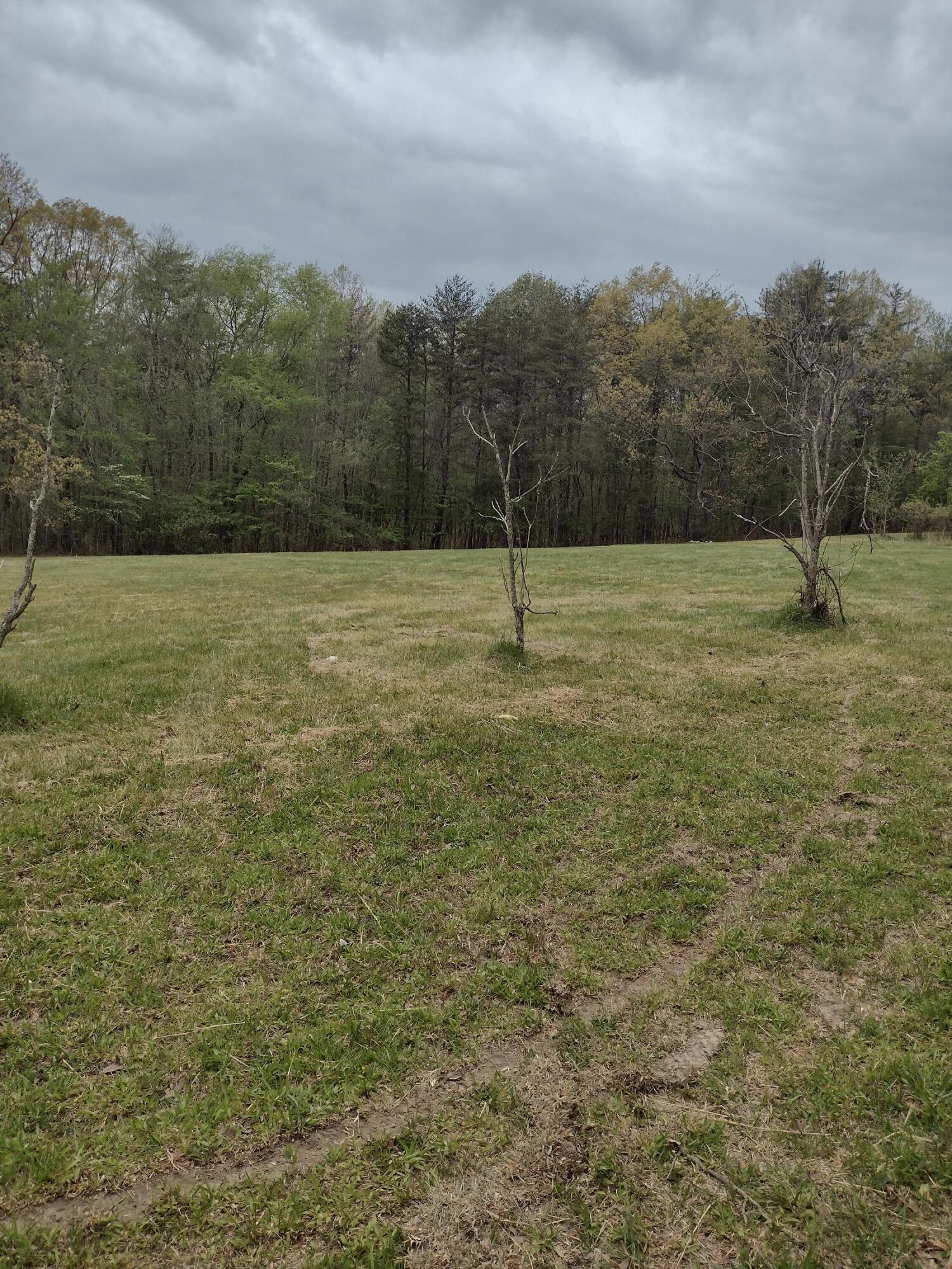 1036 Goforth Road, Spencer, Tennessee image 4