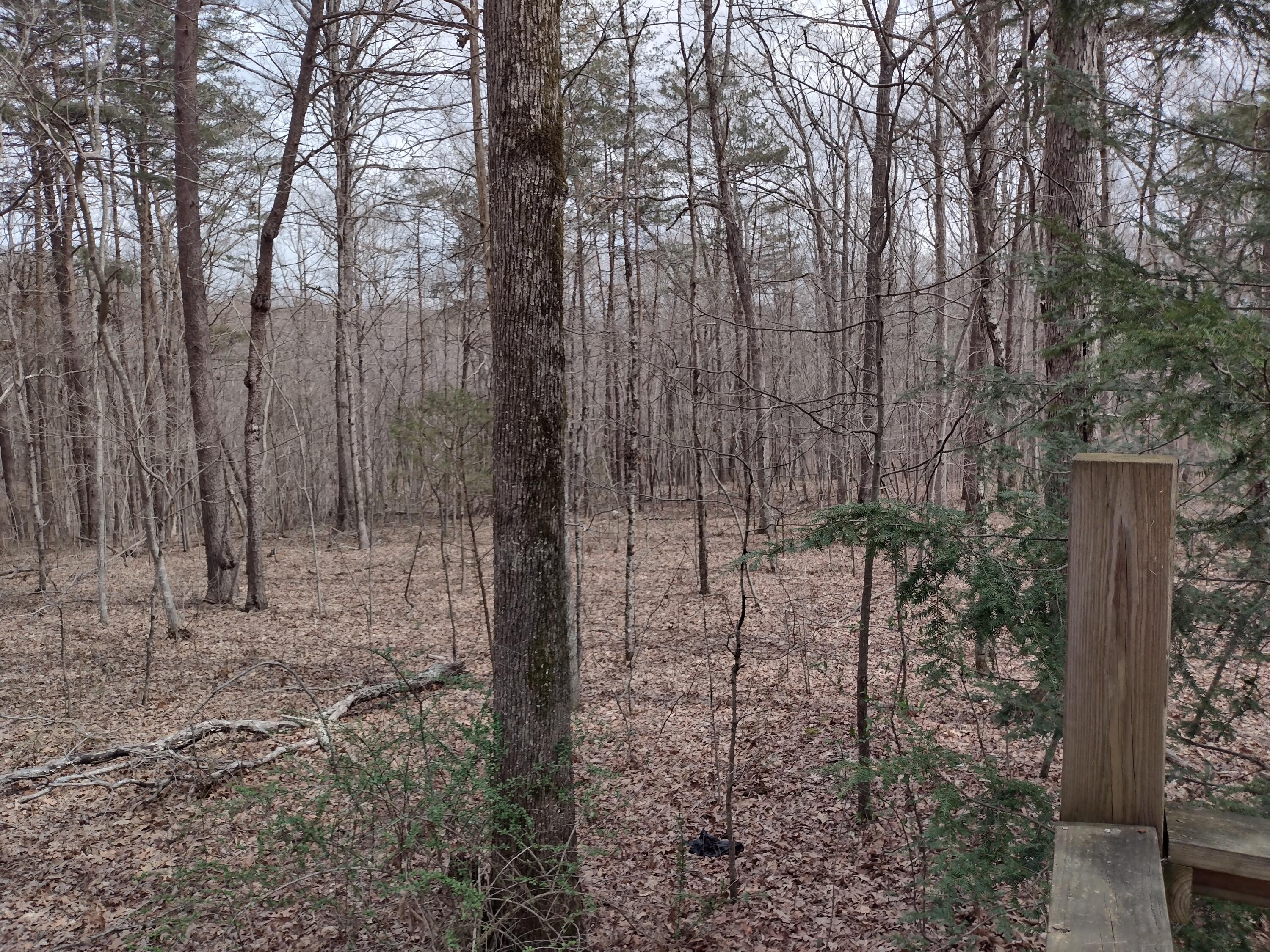1036 Goforth Road, Spencer, Tennessee image 5