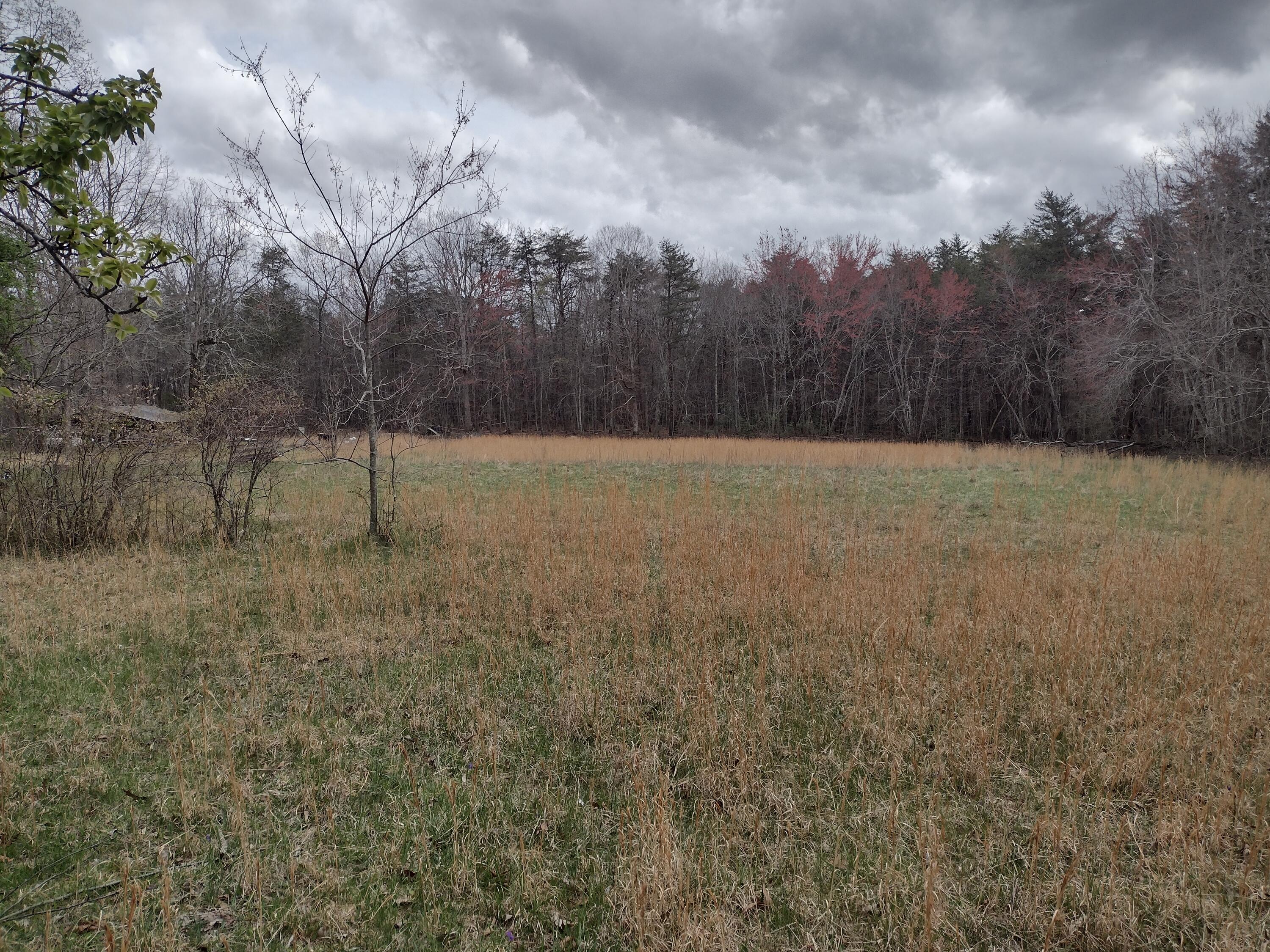 1036 Goforth Road, Spencer, Tennessee image 3