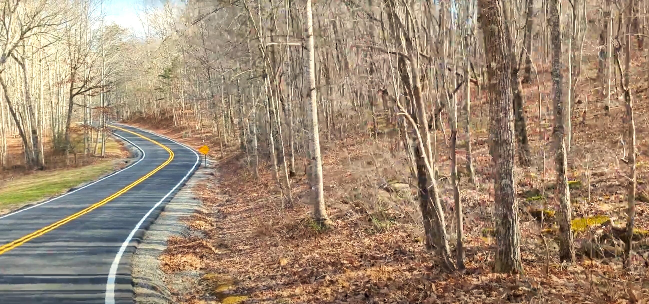 Clear Brooks Drive #3, Signal Mountain, Tennessee image 8