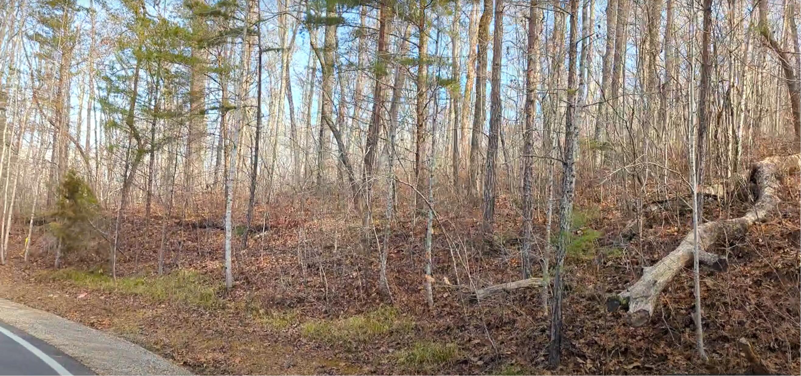 Clear Brooks Drive #3, Signal Mountain, Tennessee image 9