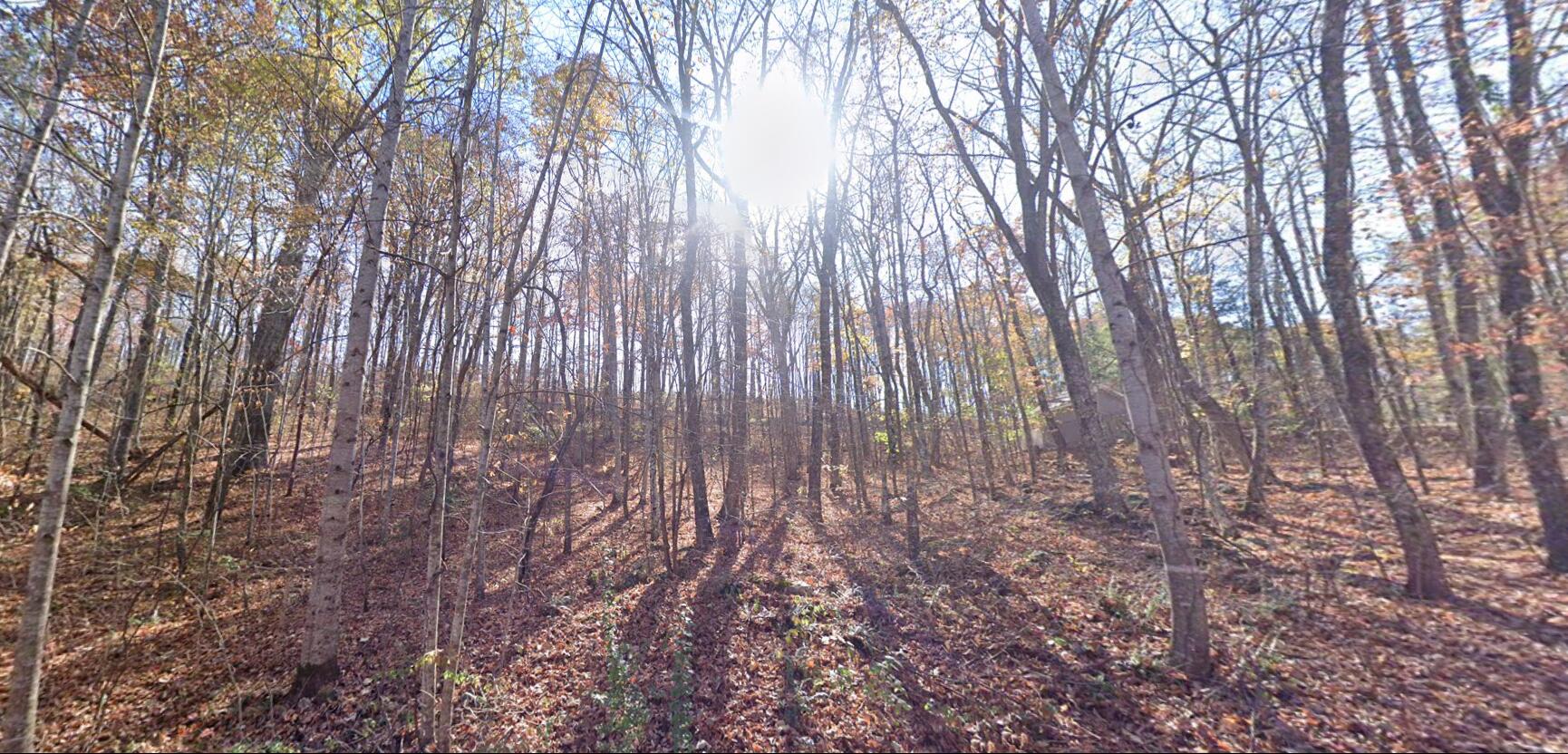 Clear Brooks Drive #3, Signal Mountain, Tennessee image 6