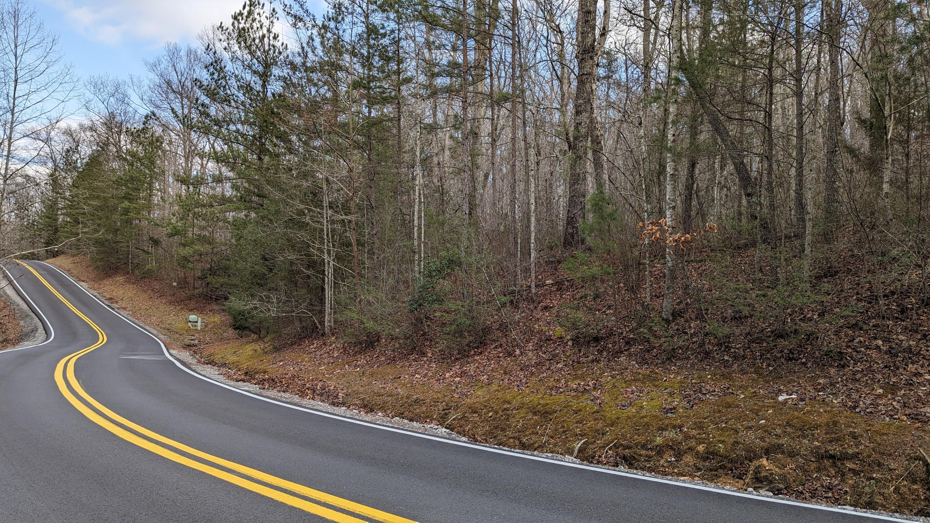 Clear Brooks Drive #3, Signal Mountain, Tennessee image 10