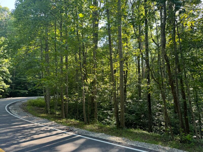 Clear Brooks Drive #3, Signal Mountain, Tennessee image 2