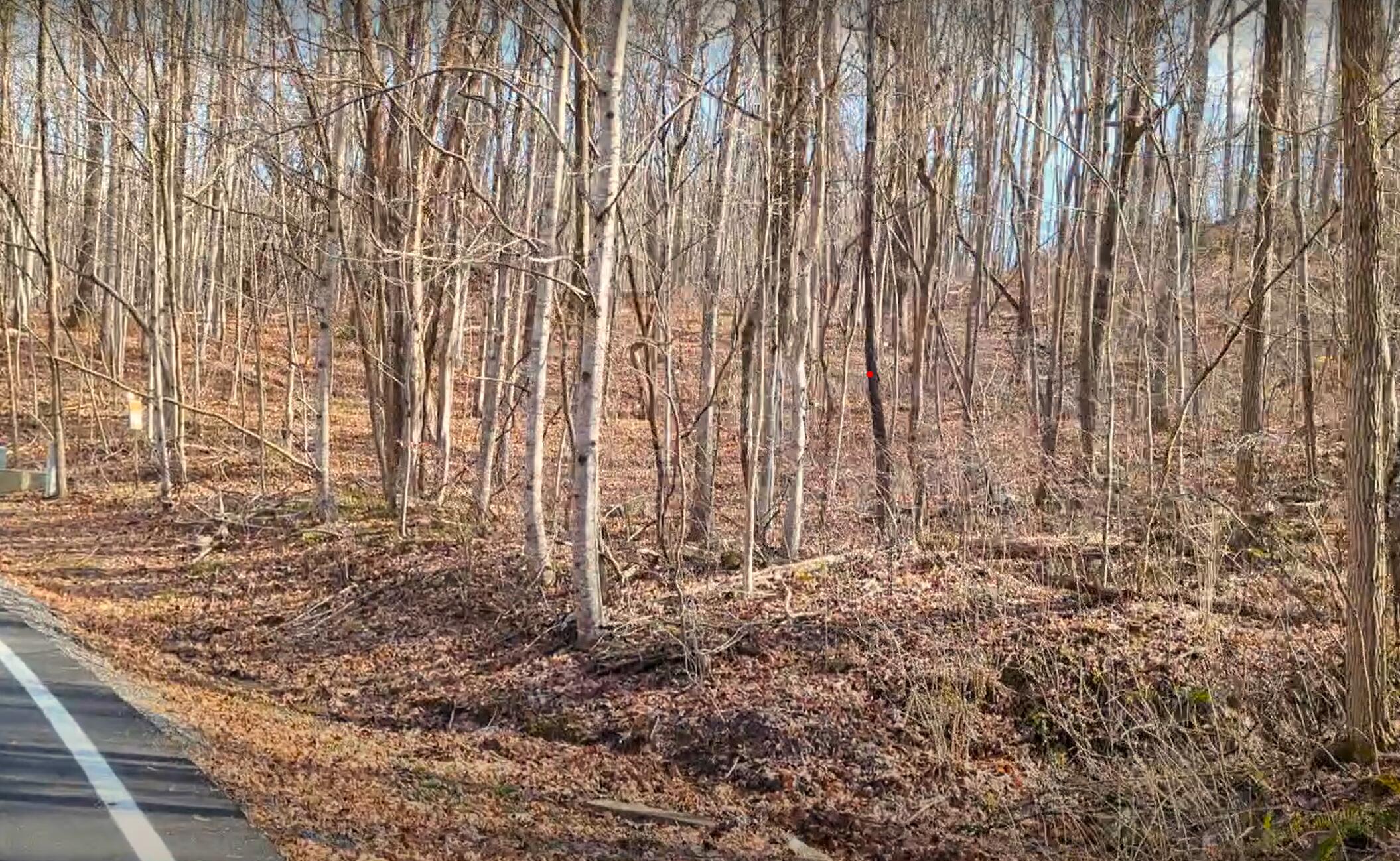 Clear Brooks Drive #3, Signal Mountain, Tennessee image 7