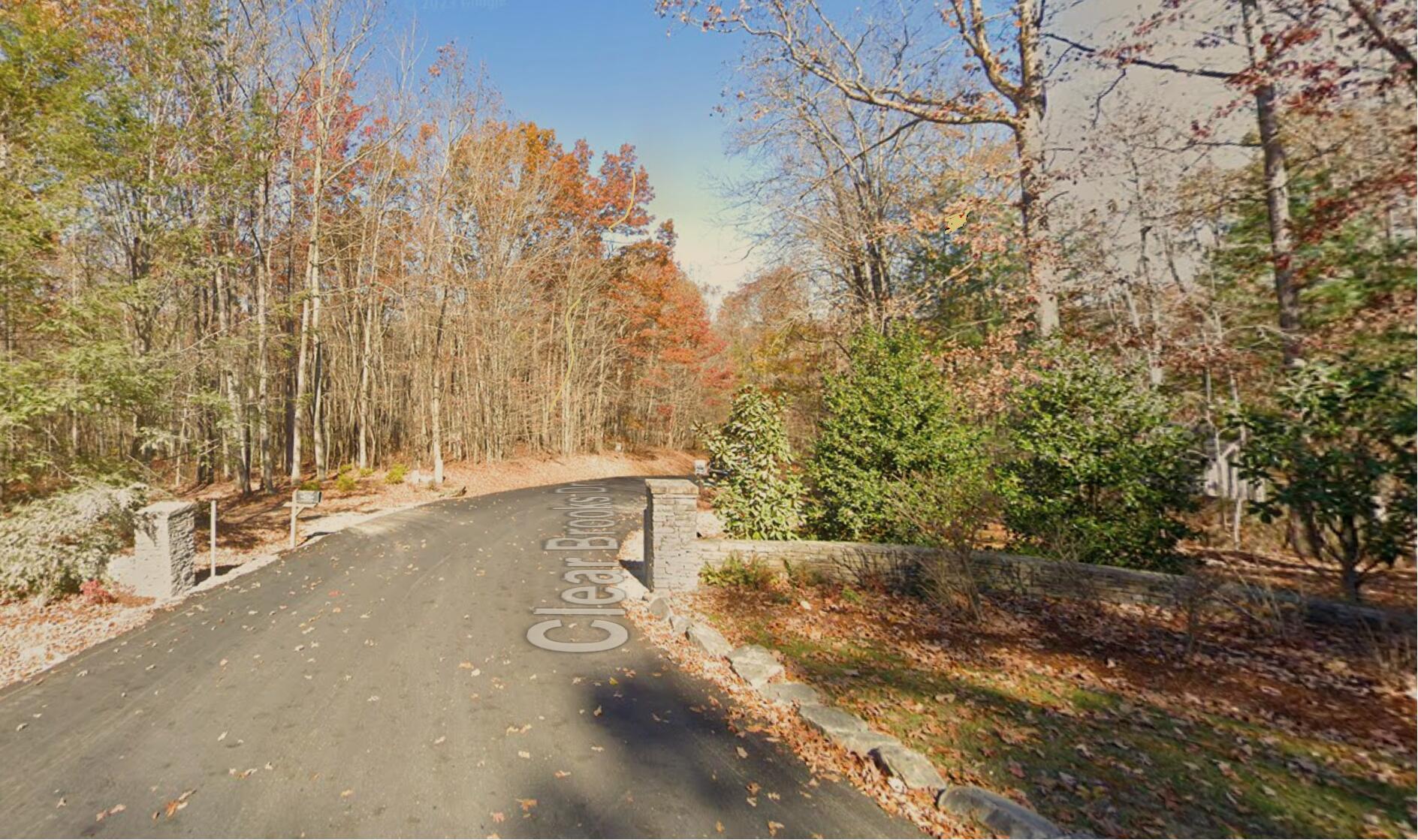 Clear Brooks Drive #3, Signal Mountain, Tennessee image 11