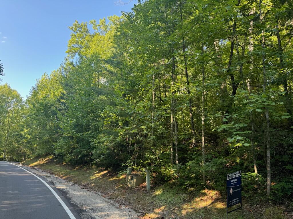 Clear Brooks Drive #3, Signal Mountain, Tennessee image 3