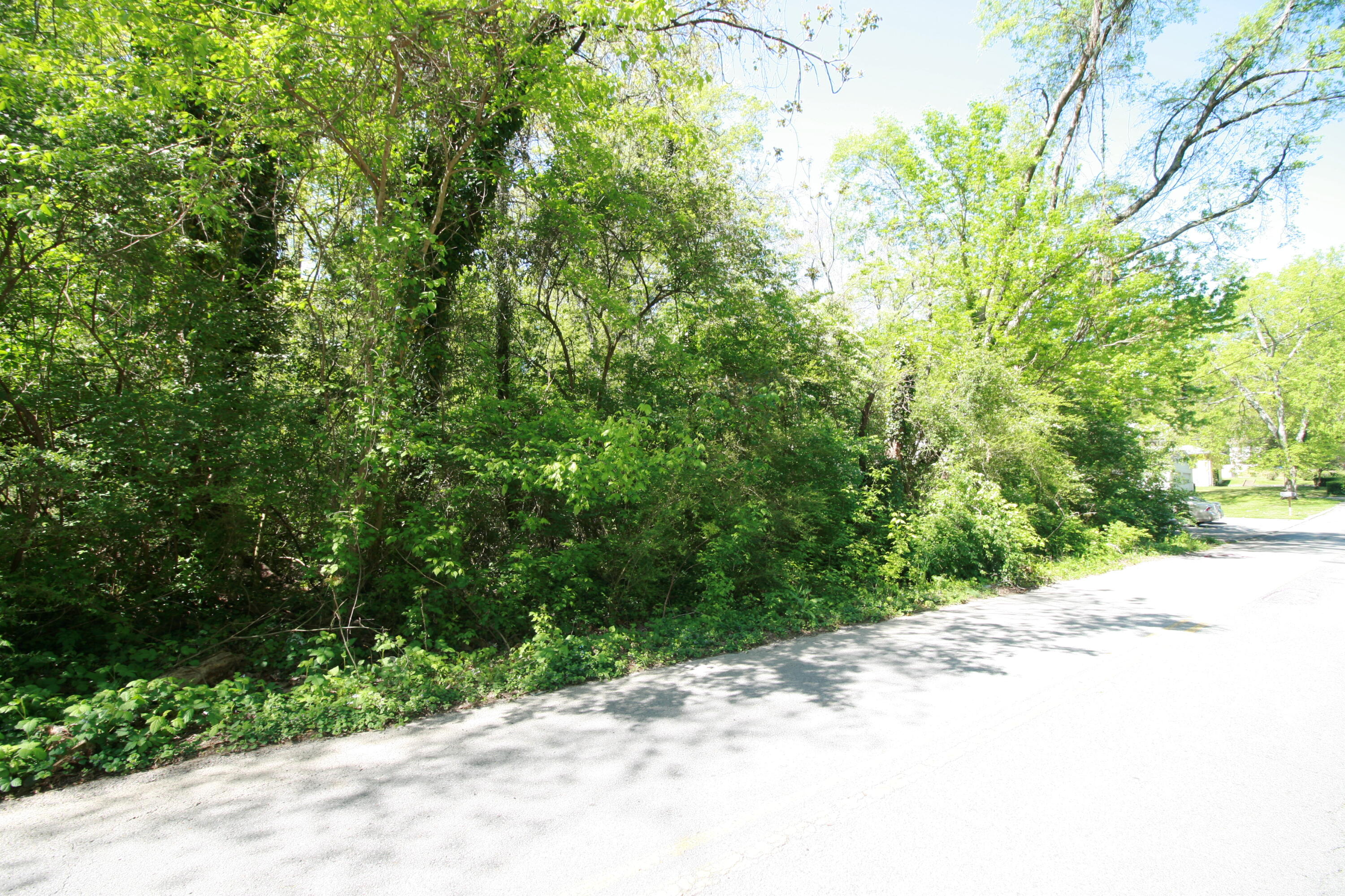 Pinewood Avenue #2, Chattanooga, Tennessee image 3