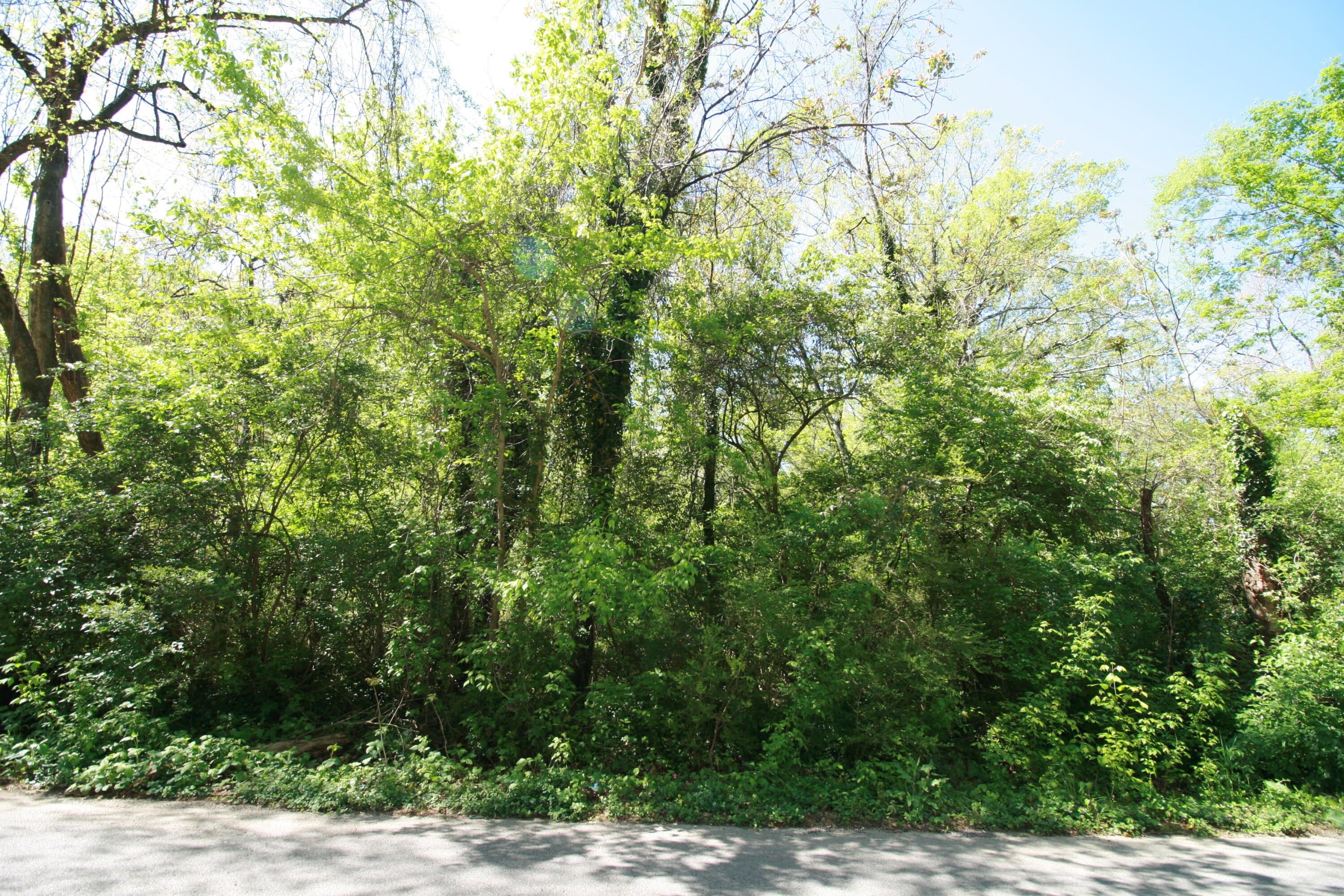 Pinewood Avenue #2, Chattanooga, Tennessee image 1