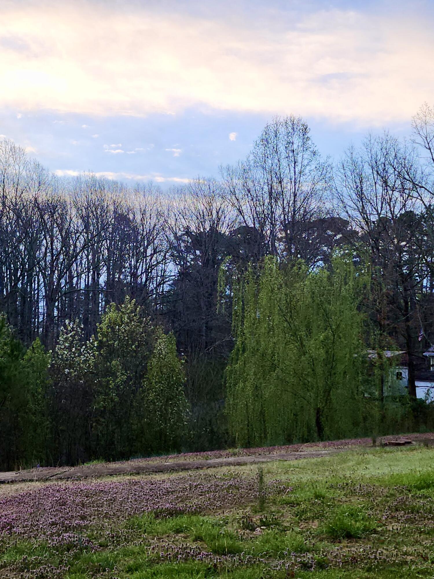 140 Loveless Cemetery Road, Hohenwald, Tennessee image 4