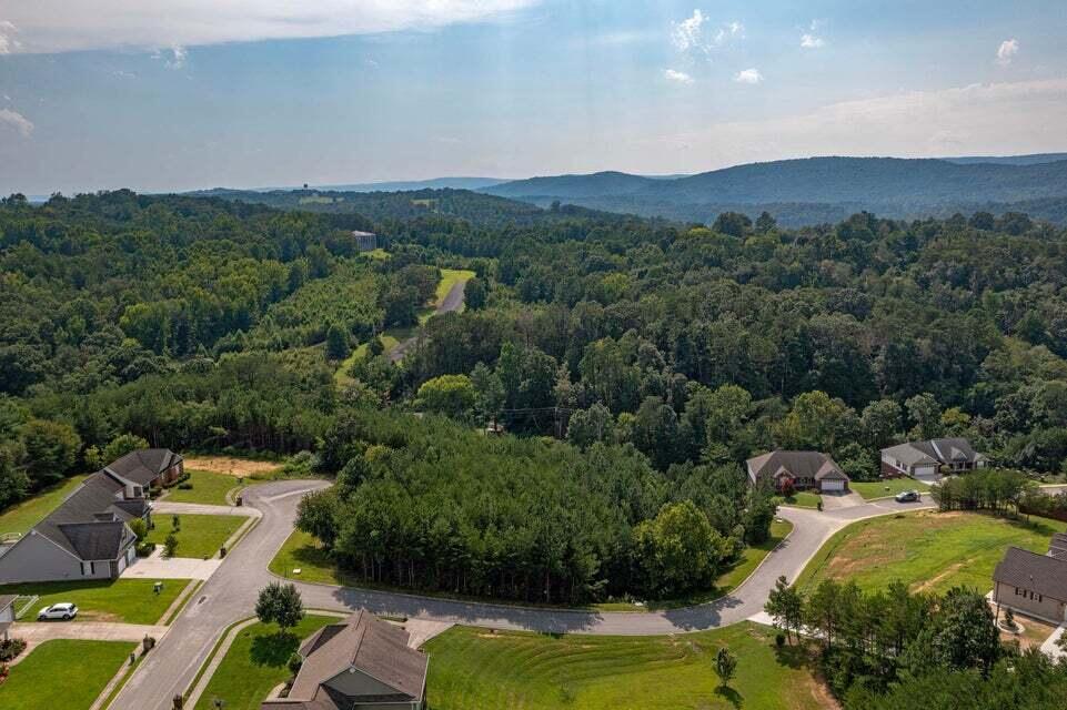Cori Drive, Dayton, Tennessee image 7