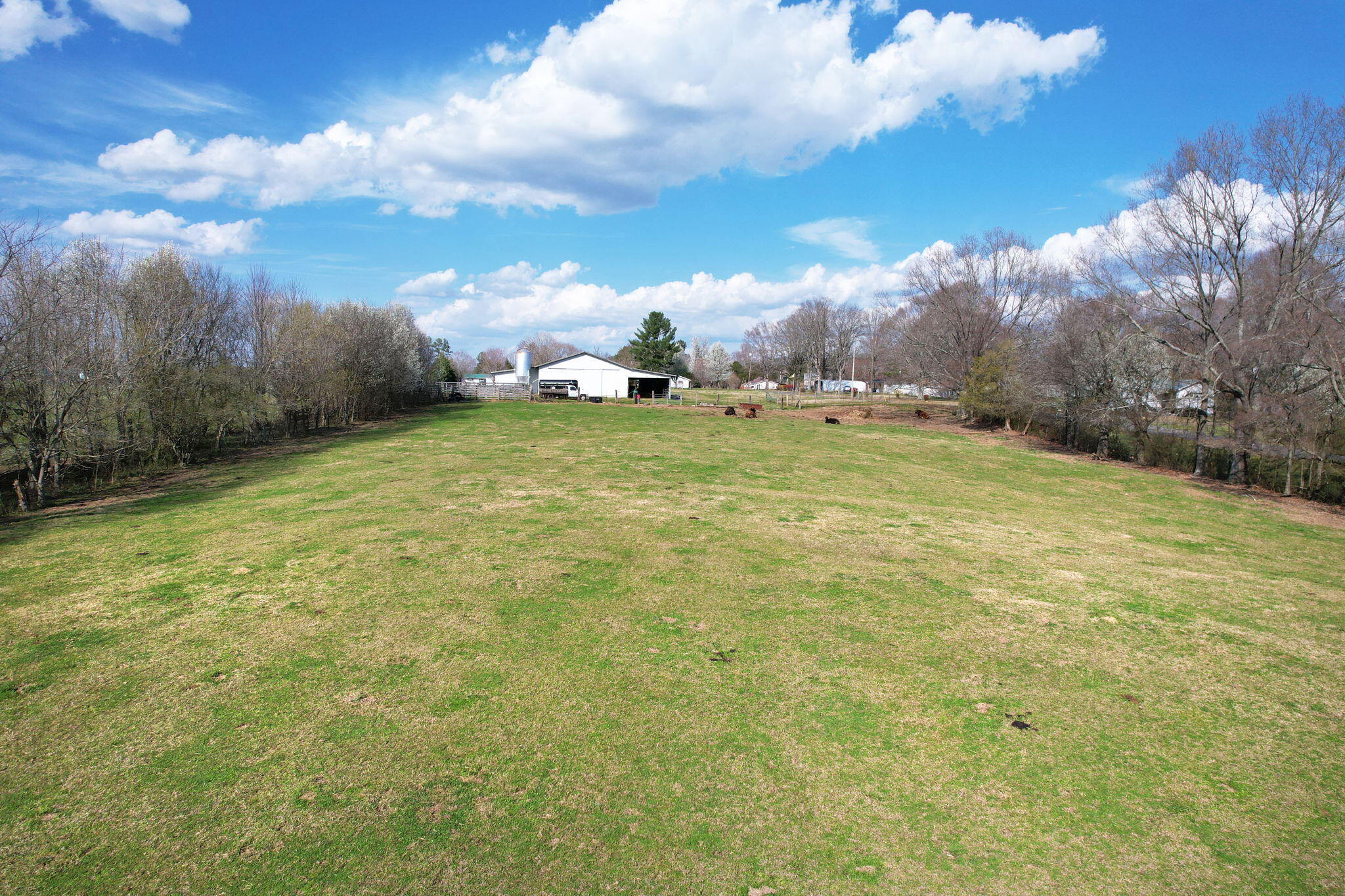 00 Lauderdale Memorial Highway, Charleston, Tennessee image 21