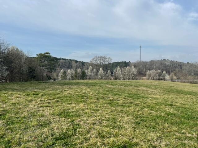 00 Lauderdale Memorial Highway, Charleston, Tennessee image 16
