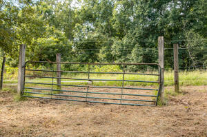 12814 Cranfield Road #TRACT 2, Birchwood, Tennessee image 5