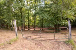 12814 Cranfield Road #TRACT 2, Birchwood, Tennessee image 1