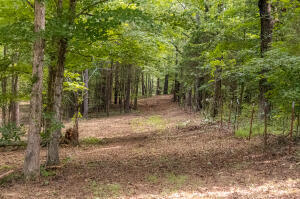 12814 Cranfield Road #TRACT 2, Birchwood, Tennessee image 2