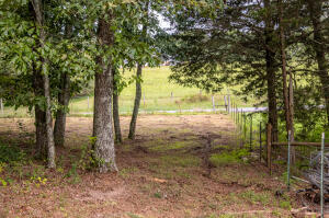 12814 Cranfield Road #TRACT 2, Birchwood, Tennessee image 3