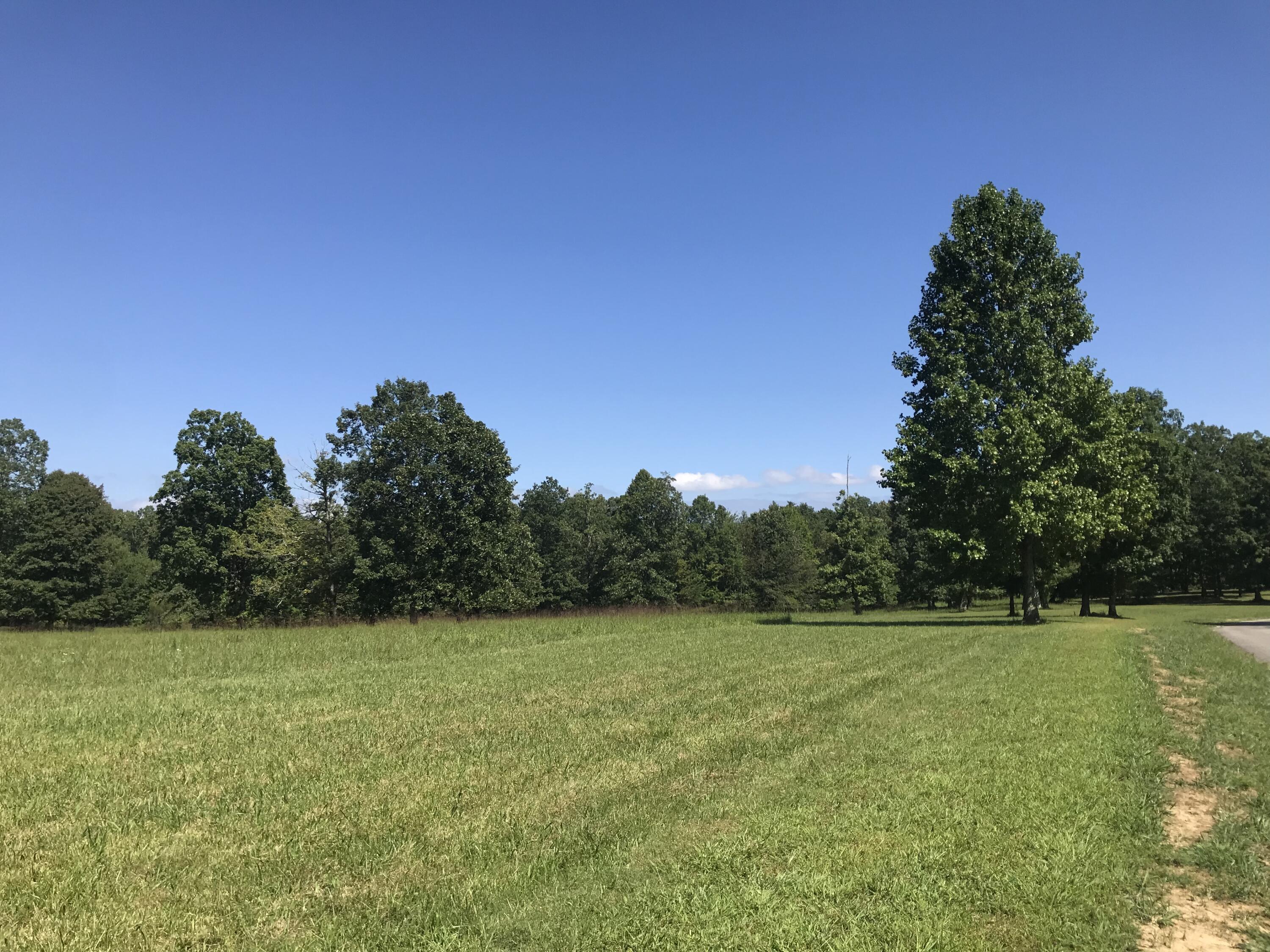 1 Lake George Drive #1, Dunlap, Tennessee image 16