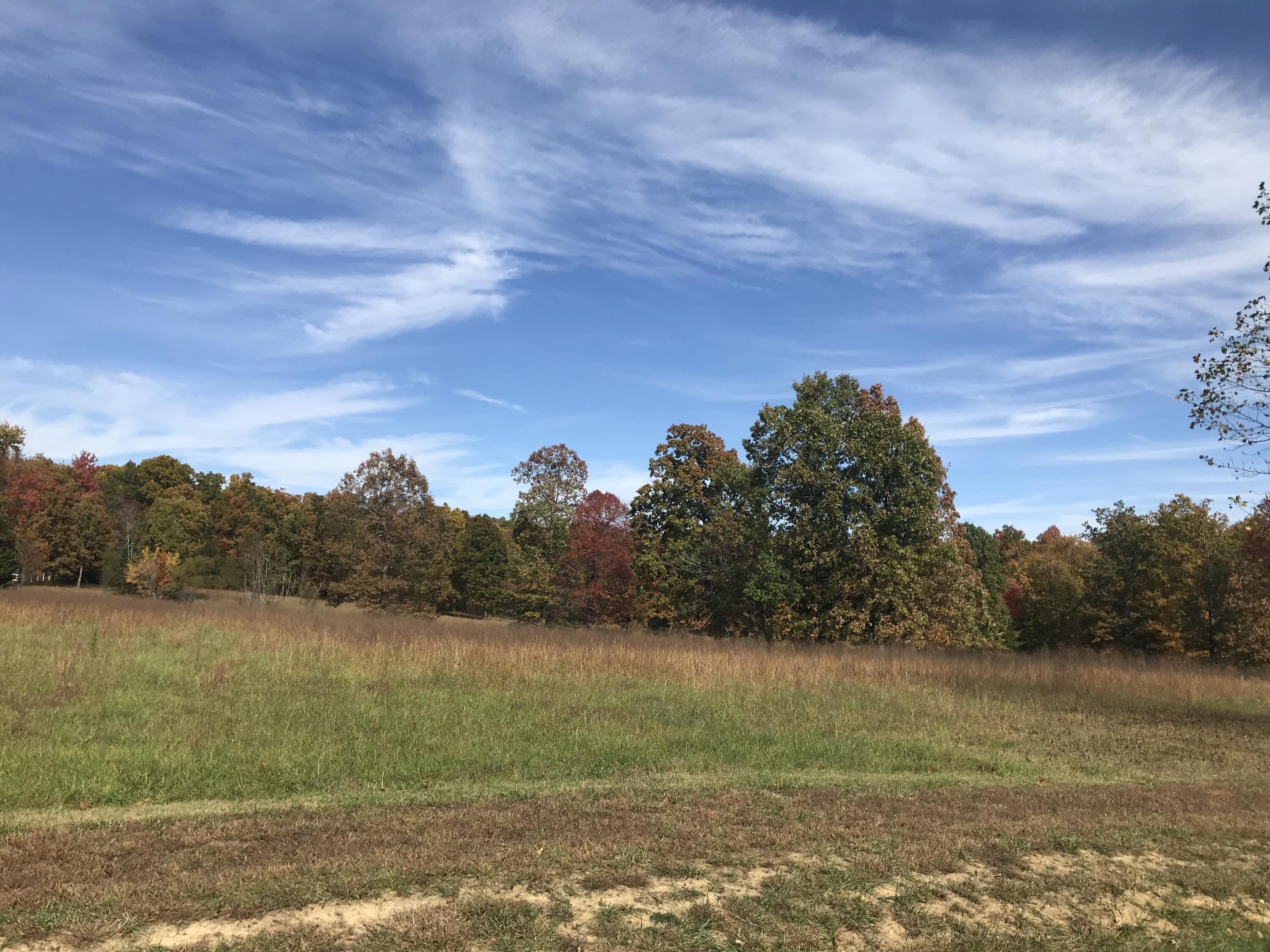 1 Lake George Drive #1, Dunlap, Tennessee image 10