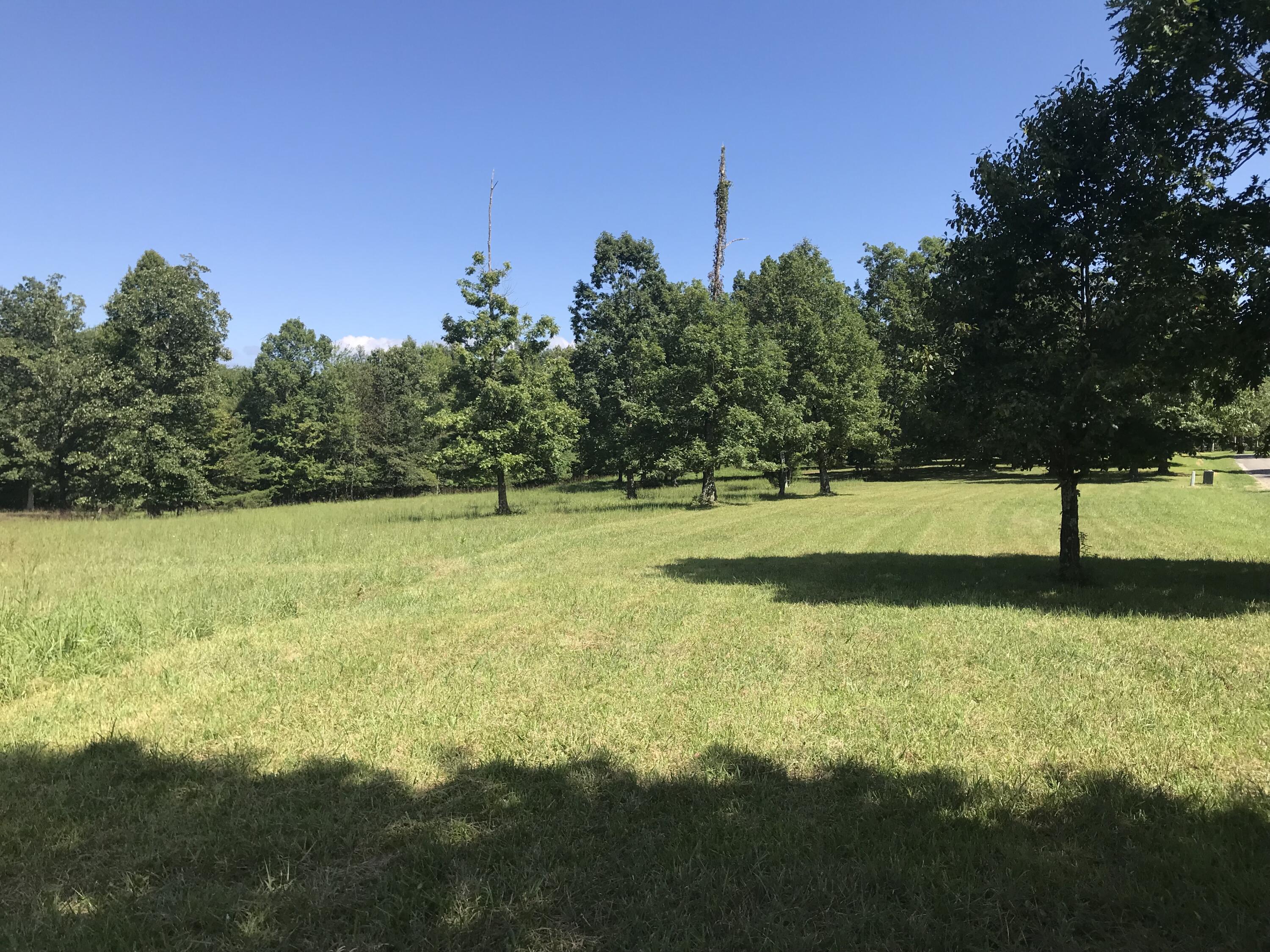 1 Lake George Drive #1, Dunlap, Tennessee image 3
