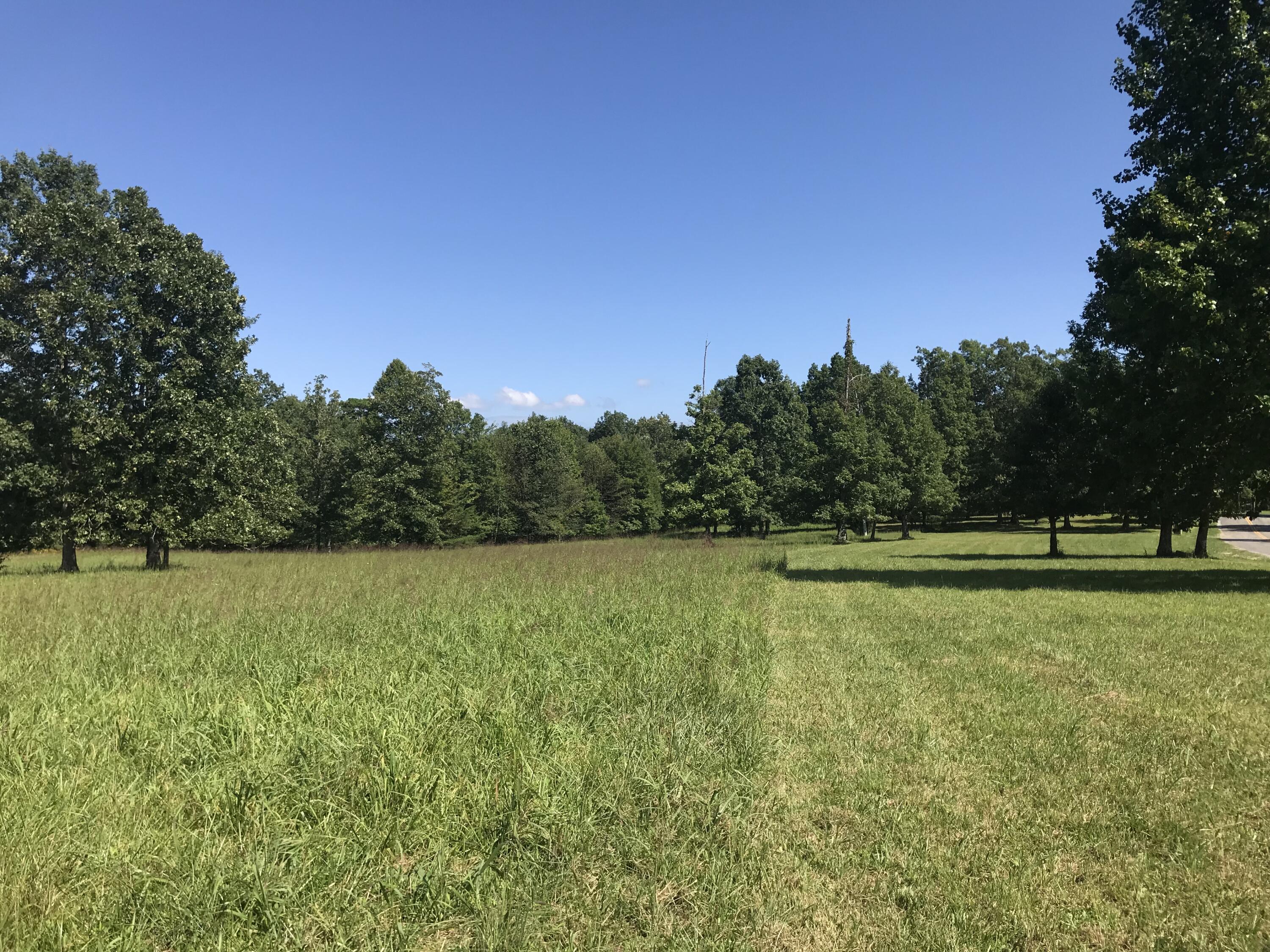 1 Lake George Drive #1, Dunlap, Tennessee image 15