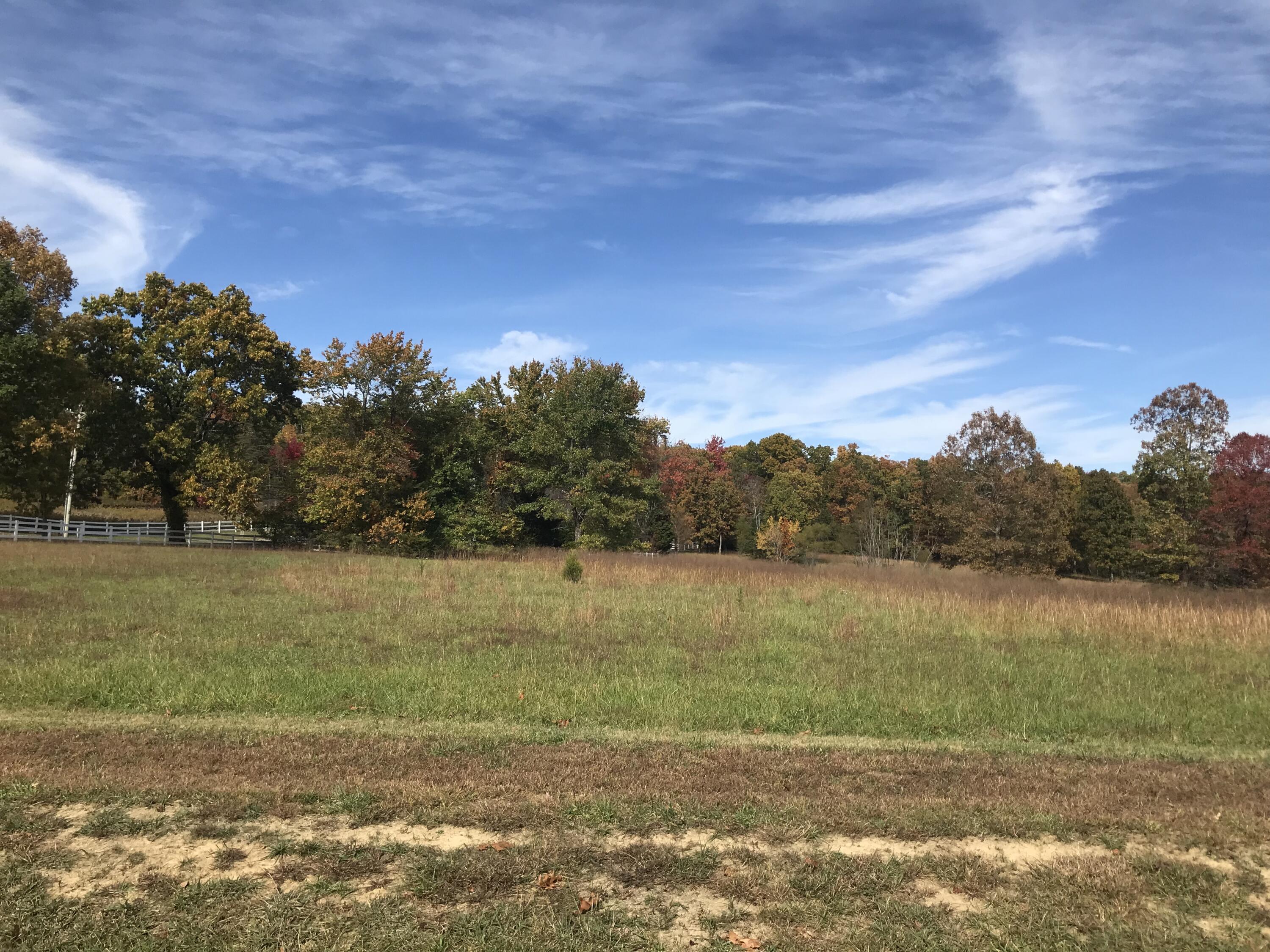 1 Lake George Drive #1, Dunlap, Tennessee image 12