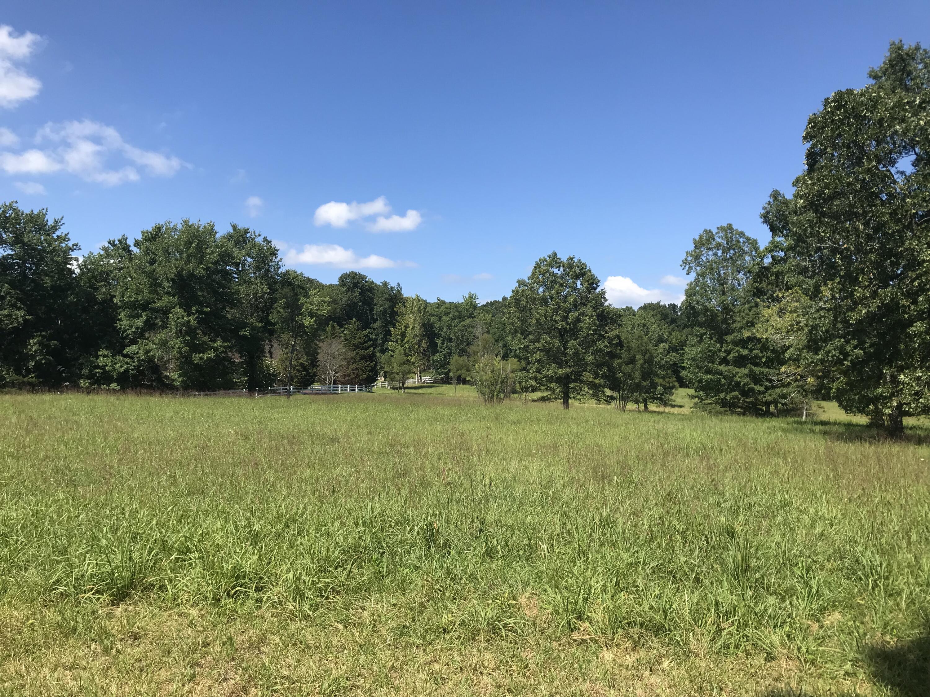 1 Lake George Drive #1, Dunlap, Tennessee image 23