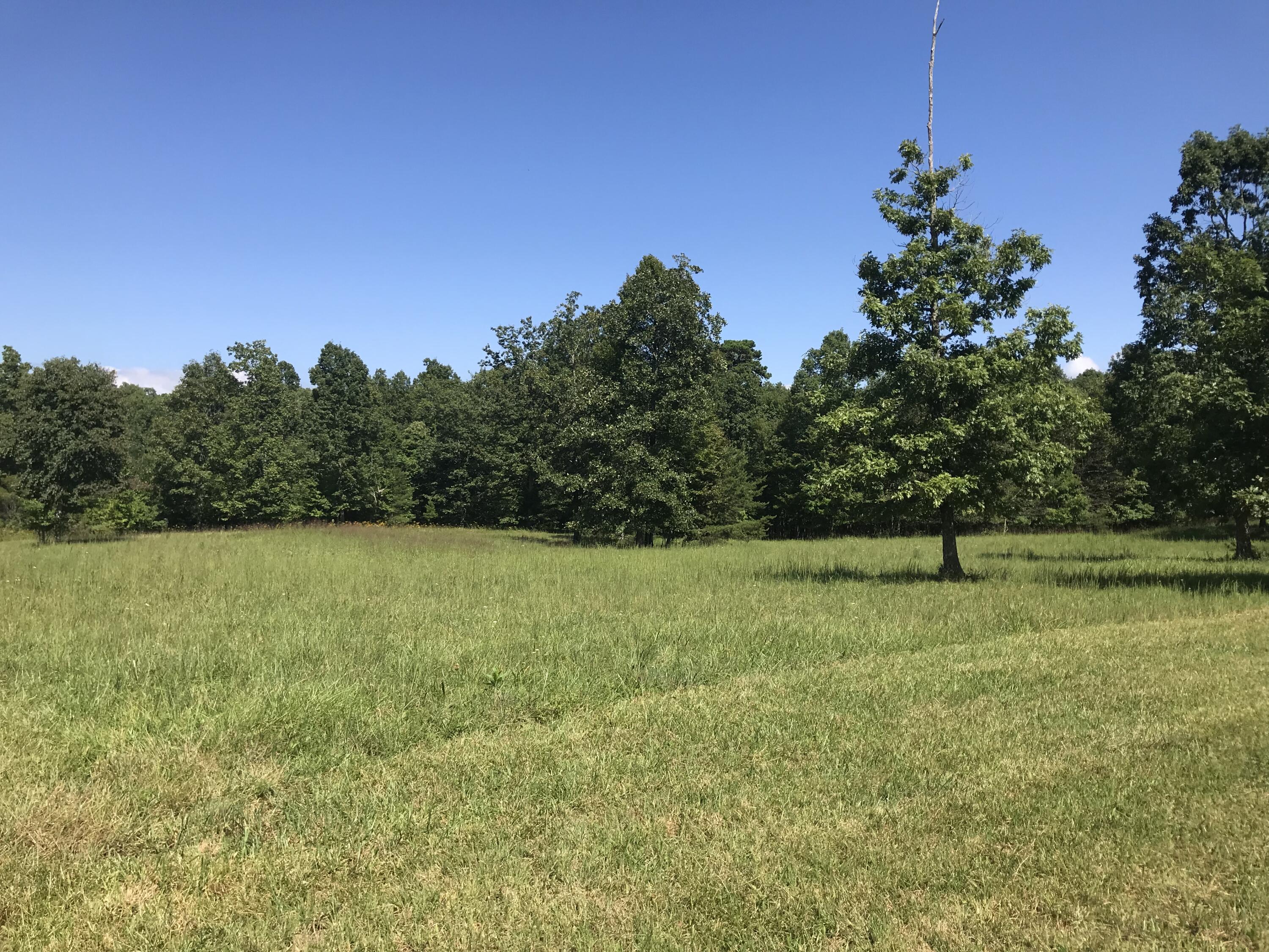 1 Lake George Drive #1, Dunlap, Tennessee image 19