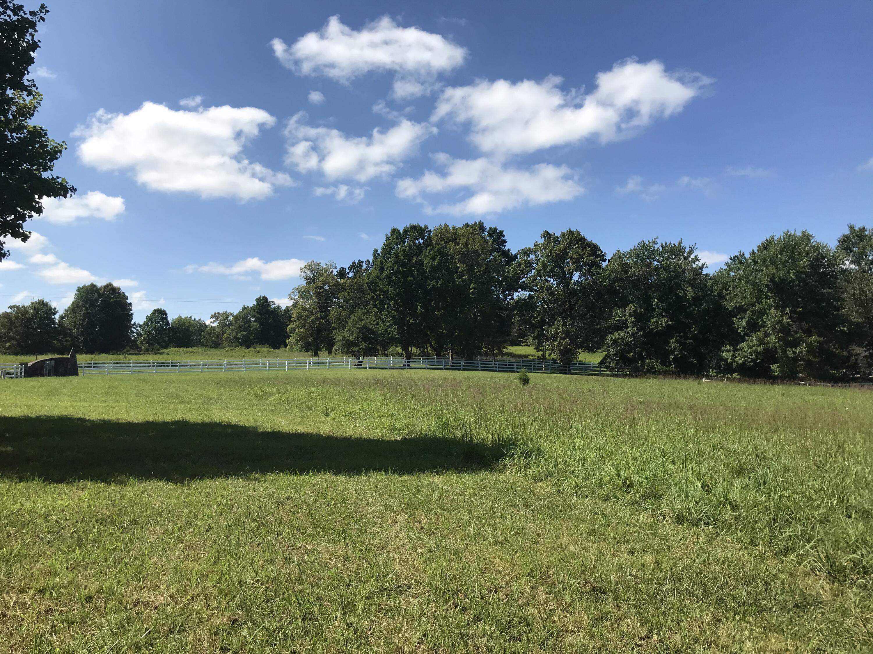 1 Lake George Drive #1, Dunlap, Tennessee image 17