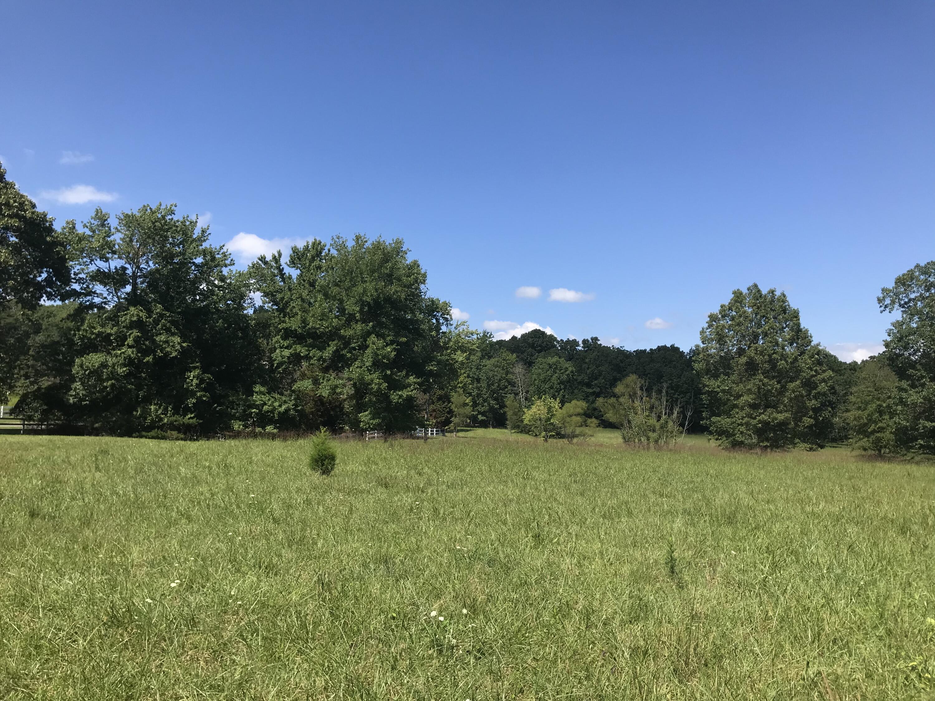 1 Lake George Drive #1, Dunlap, Tennessee image 22