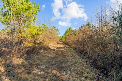 Tiny photo for 2219-1 Sugar Creek Road, Crandall, GA 30711 (MLS # 1526788)