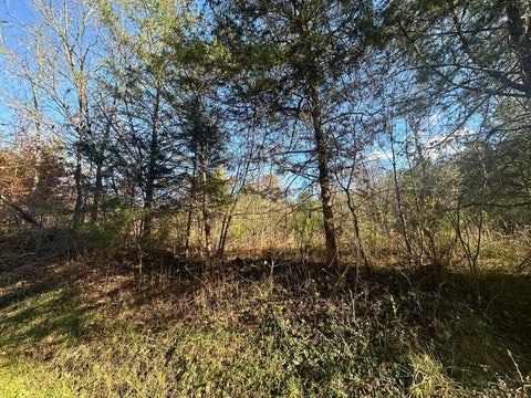 Vacant Land For Sale - 000 Mt Carmel Road<br/> Decatur, TN 37322