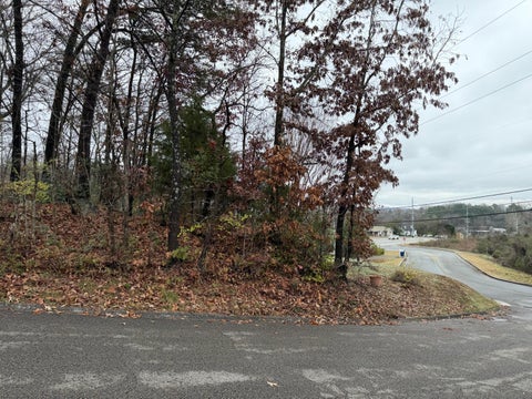 Vacant Land For Sale - 3991 Knollwood Terrace<br/> Chattanooga, TN 37415