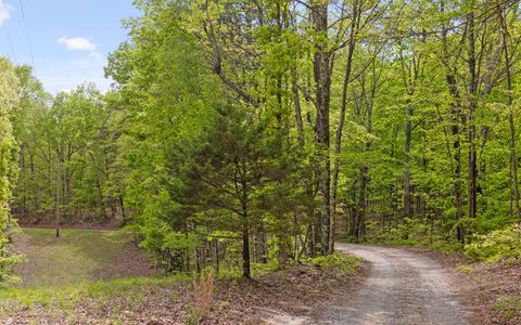 Tiny photo for 7335 S Pittsburg Mountain Road, South Pittsburg, TN 37380 (MLS # 1519585)