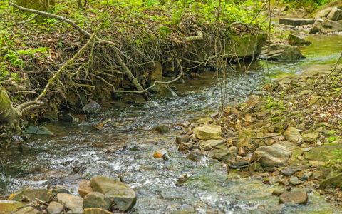 Tiny photo for 7335 S Pittsburg Mountain Road, South Pittsburg, TN 37380 (MLS # 1519585)