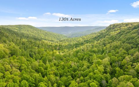 Photo of 7335 S Pittsburg Mountain Road, South Pittsburg, TN 37380 (MLS # 1519585)