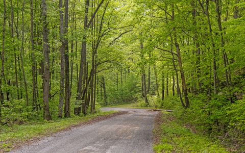 Tiny photo for 7335 S Pittsburg Mountain Road, South Pittsburg, TN 37380 (MLS # 1519585)