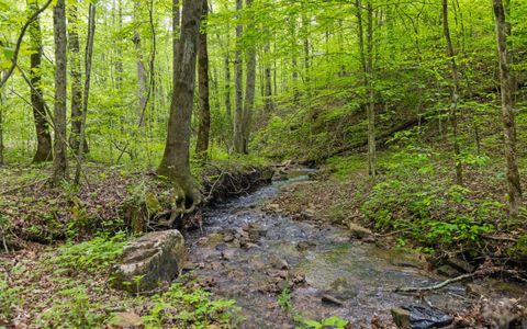 Tiny photo for 7335 S Pittsburg Mountain Road, South Pittsburg, TN 37380 (MLS # 1519585)