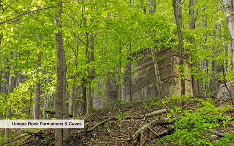 Tiny photo for 7335 S Pittsburg Mountain Road, South Pittsburg, TN 37380 (MLS # 1519585)