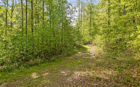 Tiny photo for 7335 S Pittsburg Mountain Road, South Pittsburg, TN 37380 (MLS # 1519585)