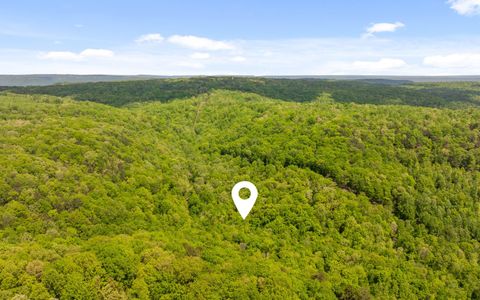 Tiny photo for 7335 S Pittsburg Mountain Road, South Pittsburg, TN 37380 (MLS # 1519585)