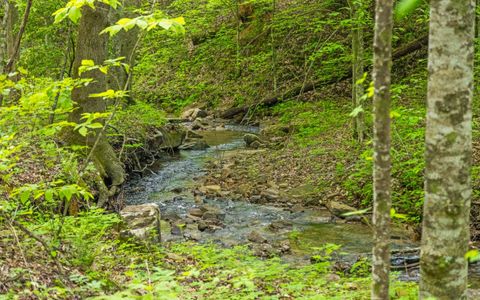 Tiny photo for 7335 S Pittsburg Mountain Road, South Pittsburg, TN 37380 (MLS # 1519585)