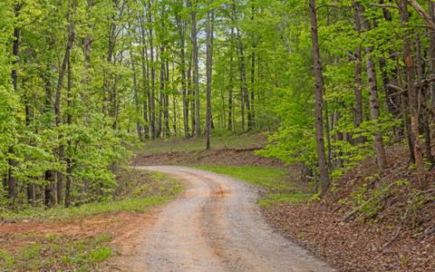 Tiny photo for 7335 S Pittsburg Mountain Road, South Pittsburg, TN 37380 (MLS # 1519585)